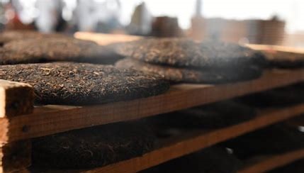贮藏条件对普洱茶品质的影响，贮藏普洱茶的注意事项