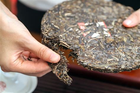 收藏普洱茶主要注重哪些方面？不是所有的普洱茶都具有收藏价值